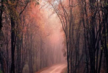 开云平台-2026世界杯H组关键战，努涅斯一锤定音，冰岛铁血压制哥斯达黎加